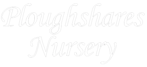 nursery